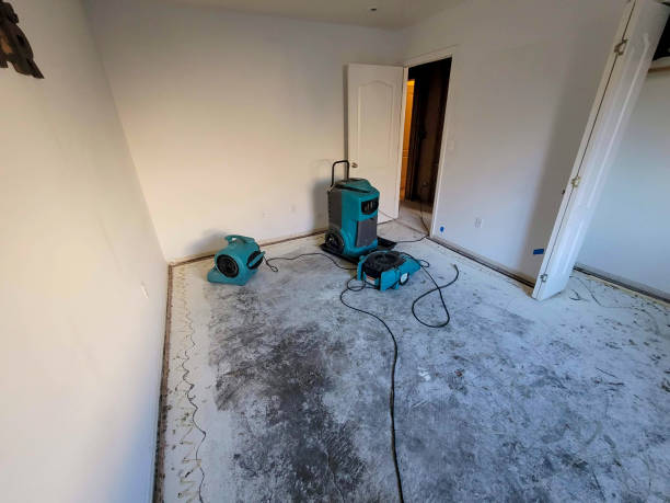 Best Flooded house restoration  in Boise, ID