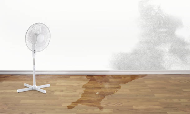 Best Residential water damage restoration  in Boise, ID