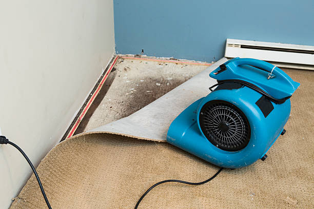 Boise, ID Water damage restoration Company